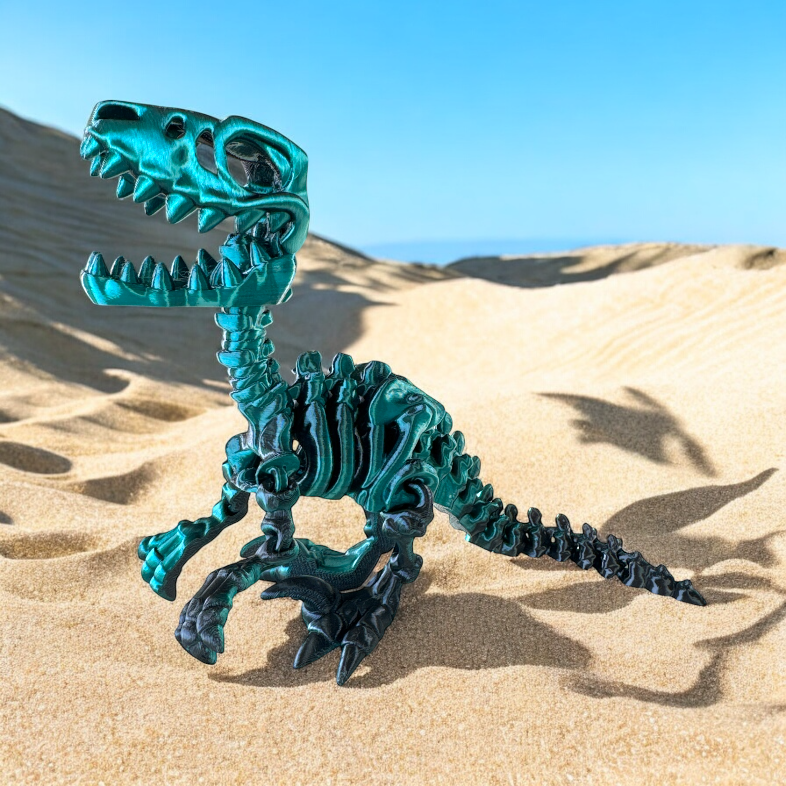 Raptor