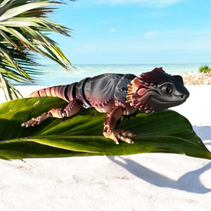 Bearded Dragon