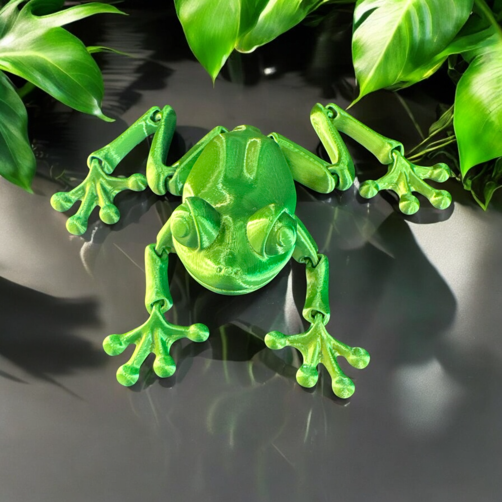 Frogs